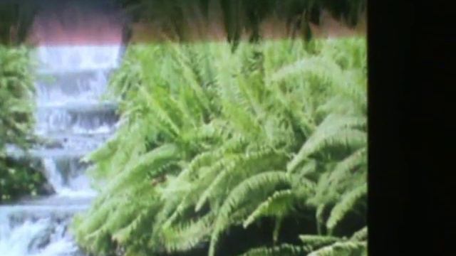 How to install playstation 1 (psx) emulator on the wii смотреть онлайн