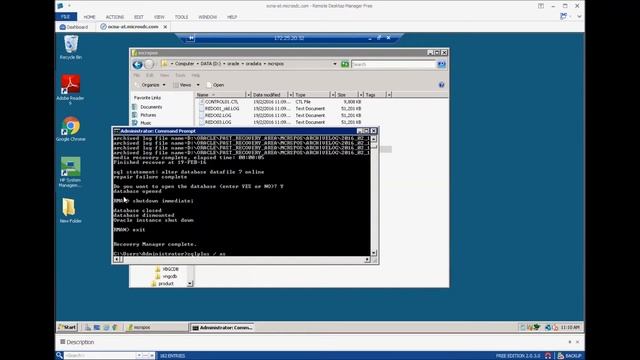 Data Recovery Advisor in Oracle Database смотреть онлайн