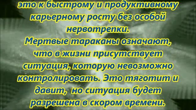 К чему снятся тараканы смотреть онлайн