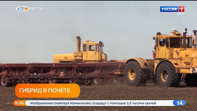 Площадь, засеянная в 2022 году тритикале в Забайкалье, увеличилась на 315% смотреть онлайн