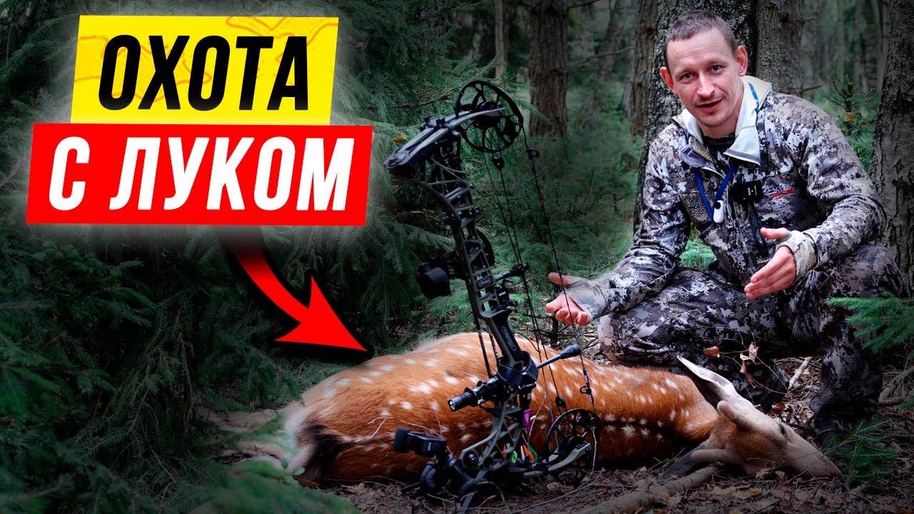 ? Супер-ОХОТА с блочным луком на ОЛЕНЯ с тристенда! Лук Mathews VXR 28. смотреть онлайн