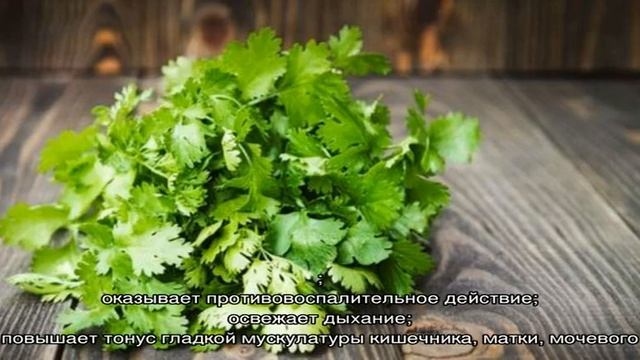 Полезные свойства петрушки для женщин смотреть онлайн