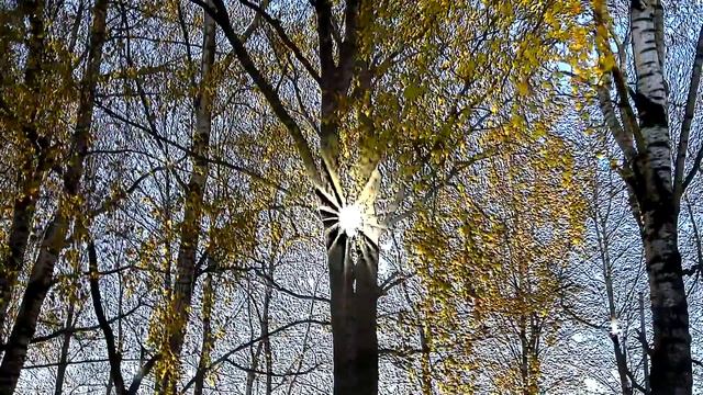 РЕЛЬЕФНЫЕ КАРТИНЫ 4 смотреть онлайн