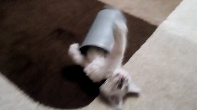 новая игрушка невака смотреть онлайн