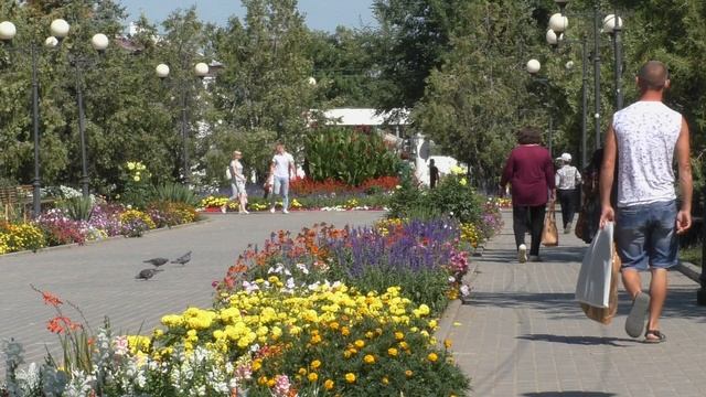 Орловка Орловский пруд Волгоградская область смотреть онлайн