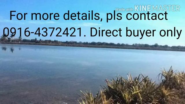 70 Hectare Fishpond At Region VI For Sale смотреть онлайн