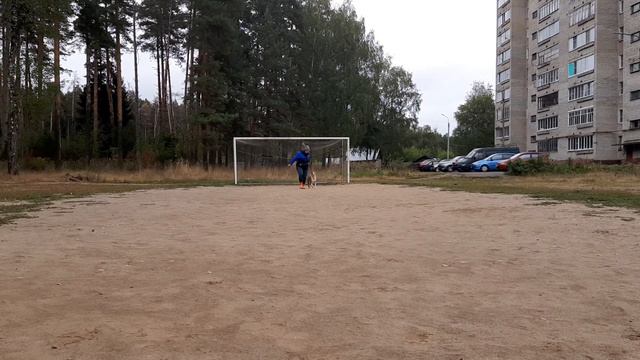 Браво американский стаффордширский терьер(3) смотреть онлайн