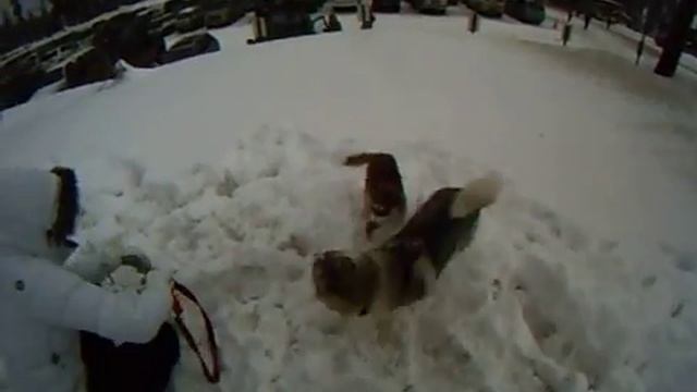 Arai and Hiro playing in the snow at Sierra смотреть онлайн