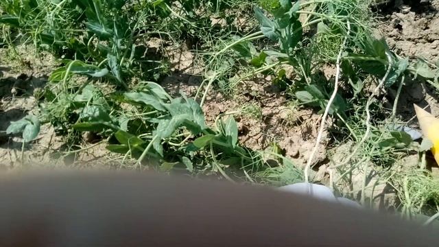 Проба б/у гильзы в качестве сопла смотреть онлайн