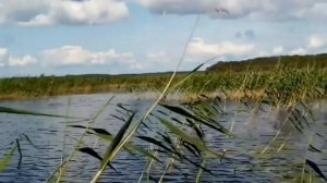 Дом в деревне. Вологодская область. Кириловский район.