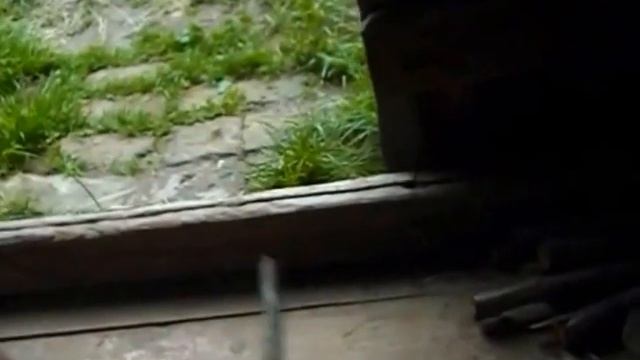 Идеи для дачи дома. Канализация проникает запах мыши насекомые в дом. что сделать гидрозатвор смотреть онлайн