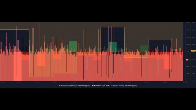 Cardano releases Node 8.1.1 – here’s why you should care смотреть онлайн