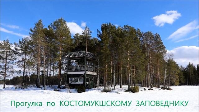 КОСТОМУКШСКИЙ ЗАПОВЕДНИК - прогулка . смотреть онлайн