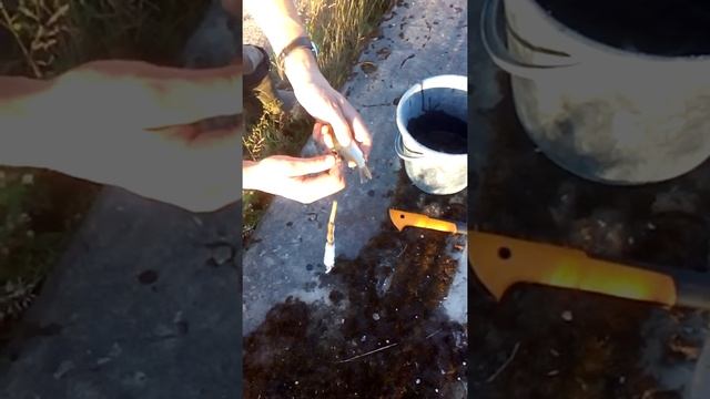 Как одеть живца на крючёк смотреть онлайн