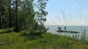Бердск летом. Обское море, пляж «На камнях» . 14 июля 2023 год