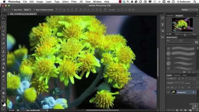 22 Adobe Photoshop CS6 Full Tutorial Controlling Images With The Navigation Panel смотреть онлайн