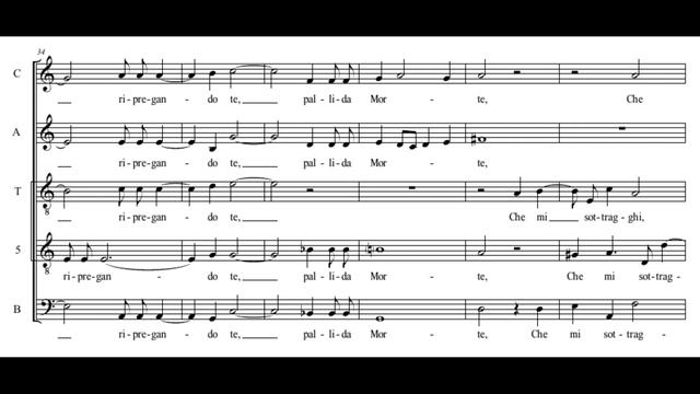 Marenzio: Chiaro segno Amor pose - La Venexiana смотреть онлайн