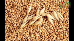 § 27 "Агропромышленный комплекс. Растениеводство", География 9 класс, Домогацких