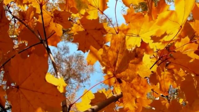 Что грустишь... . Автор видео Игнатова Людмила смотреть онлайн