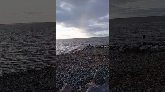Сергей Зубарев. К моему Питеру с любовью! смотреть онлайн