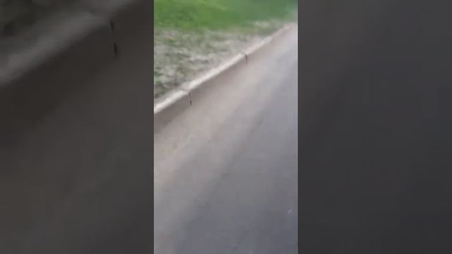 Уфа Все живые – нормально! смотреть онлайн