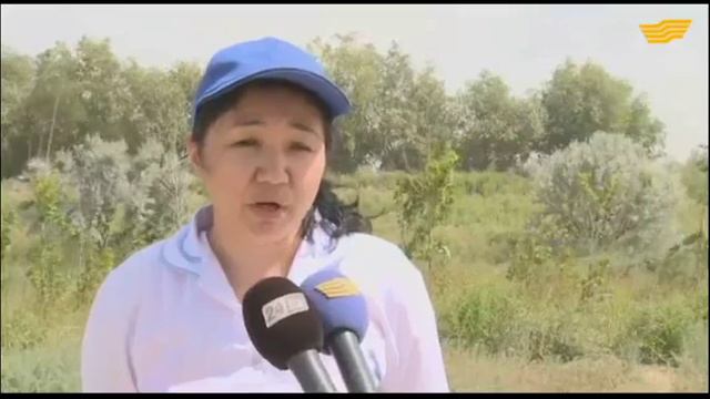 В реку Урал выпущена первая партия мальков осетра смотреть онлайн