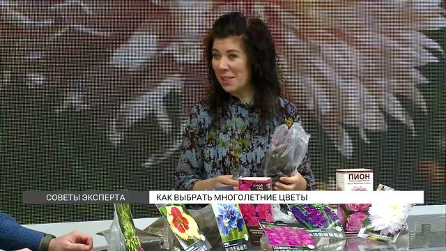 Как выбрать многолетние цветы? смотреть онлайн