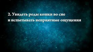 К чему снится рожающая кошка - Онлайн Сонник Эксперт