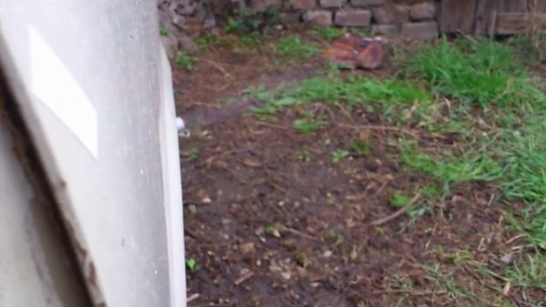 Trabant 601 new exhaust test