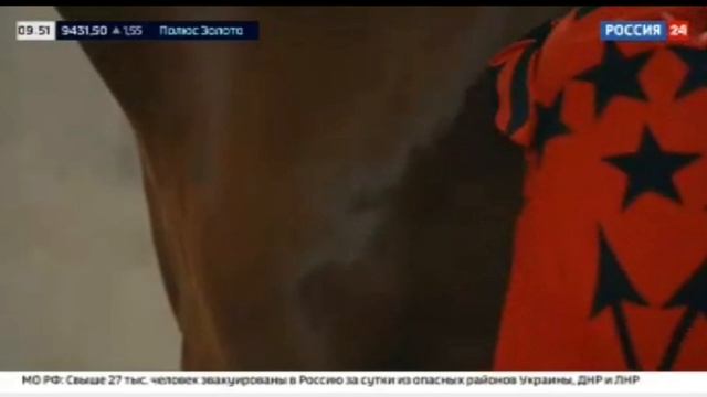 Малкинский конный завод для разведение лошадей Кабардинской породы. Эфир 25.06.2022г. смотреть онлайн