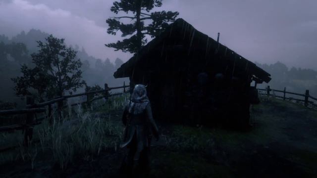 Red Dead Redemption 2 - Где спрятан третий кусок метеорита? смотреть онлайн