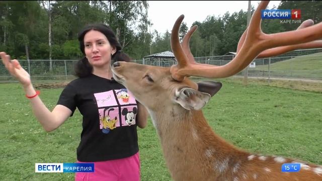 В Карельском зоопарке на «Черных камнях» неожиданное пополнение смотреть онлайн