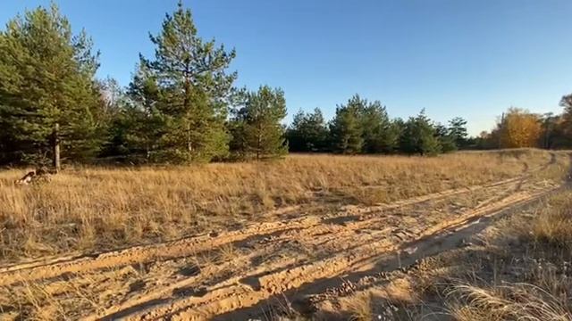 Самое гениальное решение подарка на День рождения. Что подарить на др? смотреть онлайн