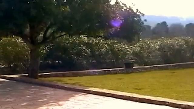 Roses & Lions ® - Consultancy and Garden Maintenance смотреть онлайн