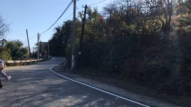 Небольшой обзор посёлка в Сочи/ село Каштаны 🍁 #сочисегодня#сочиучасток#продажадомавсочи#адлер