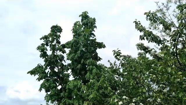 9 мая -День святого Степана.Приметы дня смотреть онлайн