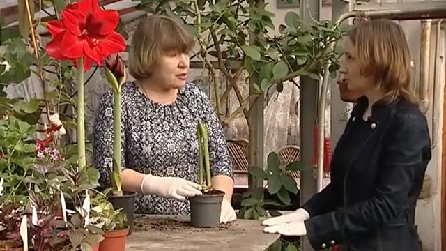 Зелёная передача 2. Тепличное Хозяйство "Конек-Горбунок" смотреть онлайн