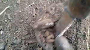 Бурение ямок под столбы.