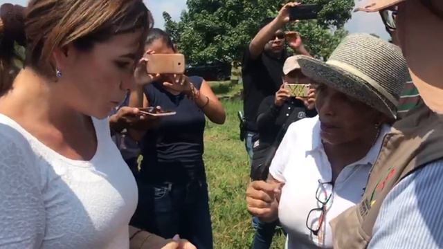 Colectivos reclaman preferencias para entrar en fosa de Alvarado смотреть онлайн