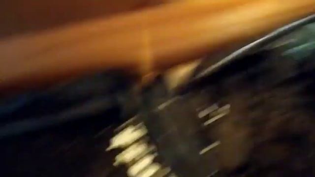Подрастают шампиньоны смотреть онлайн