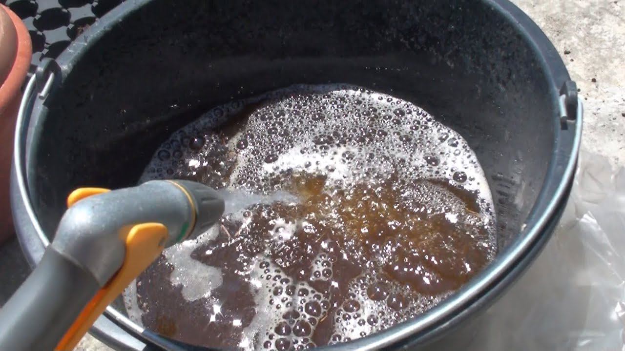 Как приготовить универсальное органическое удобрение для подкормки всех культурных растений. смотреть онлайн