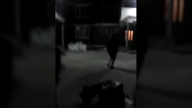 консъерж за компьютером в бухгалтерии смотреть онлайн