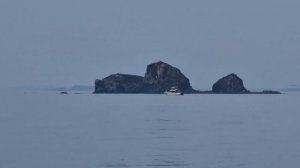 Приморье, тролинг на симу, рыбалка на симу Владивосток. #БлогВладивосток