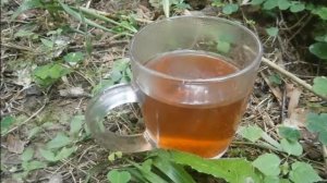 Как заварить листья брусники