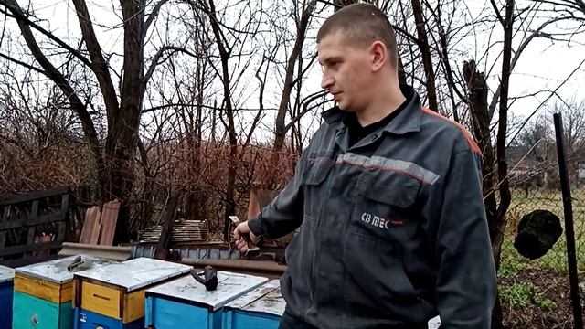 Зимовка пчёл 2021 , больше никакого утепления. Отличная зимовка бес подушек. смотреть онлайн