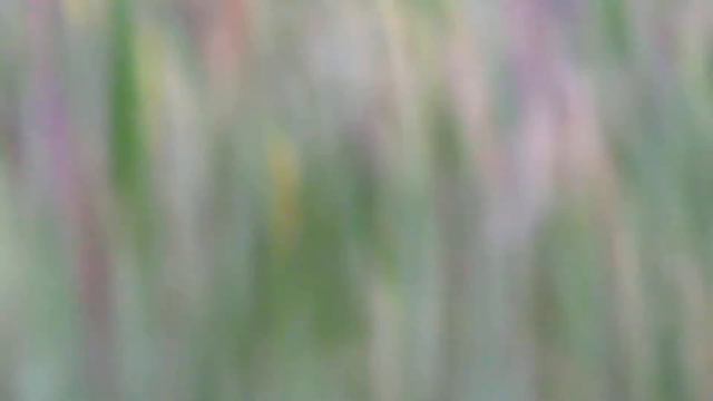 Фиагдон ♥ 17.07. 2016 ♥ беседа смотреть онлайн