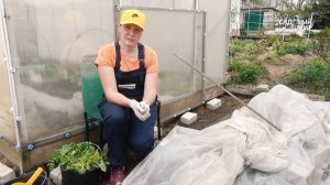 ЗАЖИГАЕМ ГРЯДКИ для ранних кабачков. Чем заправить лунку перед посадкой.