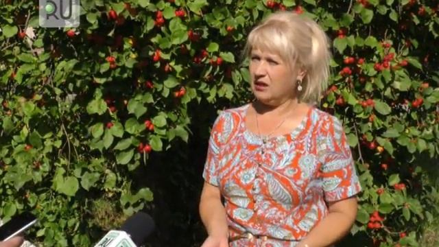 Секреты выращивания облепихи смотреть онлайн