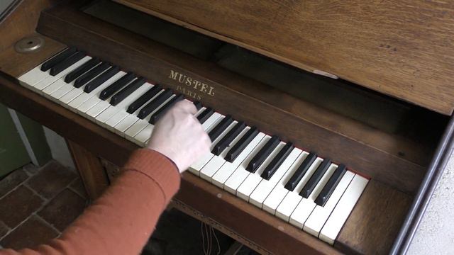 Celesta Mustel смотреть онлайн