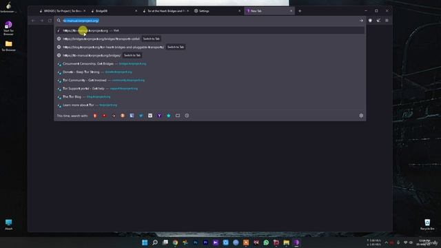 11.2. Tor Relays, Tor Bridges, Pluggable Transports & Obfsproxy